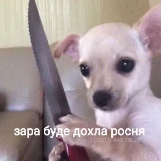 Sticker from Укр меми<: