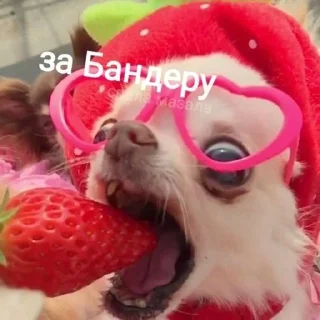 Sticker from Укр меми<: