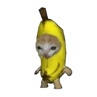 Sticker from 🍌banana cat