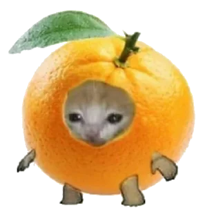 🍊 emoji 🍌banana cat Telegram sticker 7 of 11