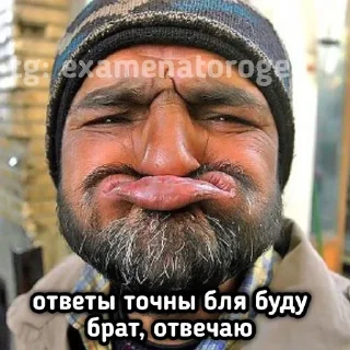 Sticker from Examenatoroge ОТВЕТЫ