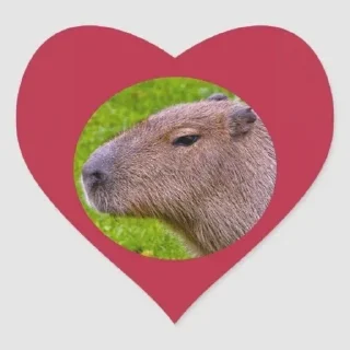 ❤ emoji капибара Telegram sticker 6 of 19