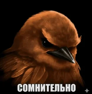 Sticker from Вряд ли @flotikpon4ik