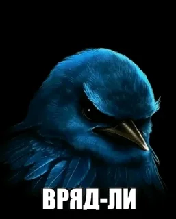 Sticker from Вряд ли @flotikpon4ik