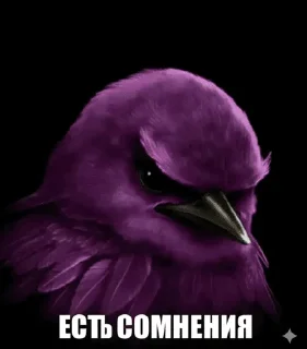 Sticker from Вряд ли @flotikpon4ik