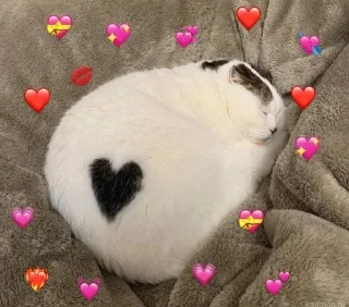 Sticker from люблю♡