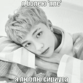 Sticker from я еблан // @KH0LYZ