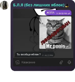 👮‍♀️ emoji 🎩 Шляпная Империя 🎩 pack by @QuotLyBot Telegram sticker 16 of 65