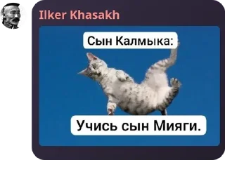 ✍ emoji Урало-Алтайская Империя pack by @QuotLyBot Telegram sticker 22 of 120