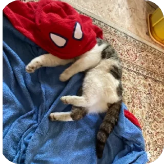 🫥 emoji Человек паук Telegram sticker 11 of 17
