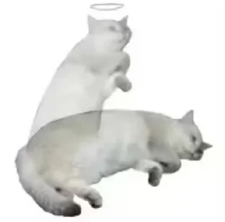 Sticker from боба
