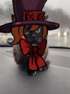 🐈‍⬛ emoji 💥•Peacock•💥 Telegram sticker 12 of 120
