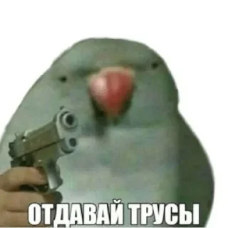 Sticker from Я хз by @TencellI