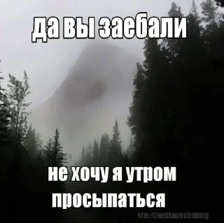 Sticker from Картинки с текстом