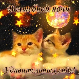 Sticker from спок нок