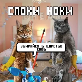 Sticker from спок нок