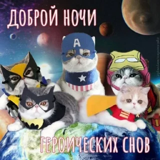 Sticker from спок нок
