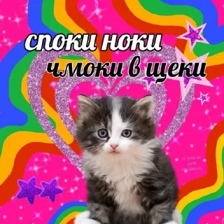 Sticker from спок нок