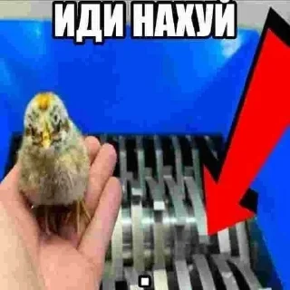 Sticker from эбля