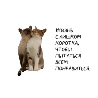 🤩 emoji @TgEmodziBot Ну это так чисто по приколу(!) Telegram sticker 13 of 51