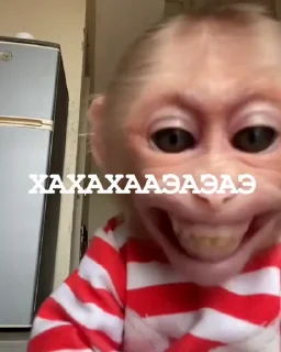 🤩 emoji манки @TgEmodziBot Telegram sticker 8 of 104