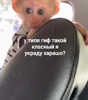 🤩 emoji манки @TgEmodziBot Telegram sticker 5 of 104