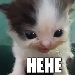 ❤️‍🩹 emoji Не заходи сюда👉🏻 @stikiin Telegram sticker 6 of 120