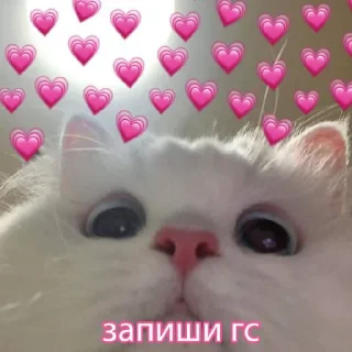 Sticker from Люблю