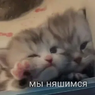 ❤️‍🩹 emoji Не заходи сюда👉🏻 @stikiin Telegram sticker 8 of 120