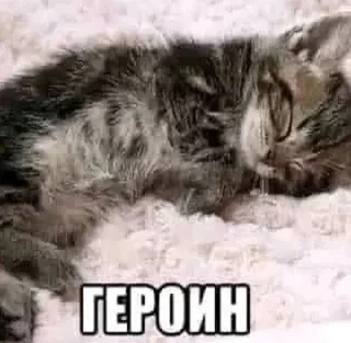 Sticker from Автор: @I_Love_Shinji