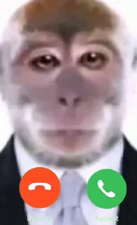 🤩 emoji манки @TgEmodziBot Telegram sticker 12 of 104
