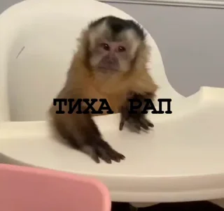 🤩 emoji манки @TgEmodziBot Telegram sticker 1 of 104