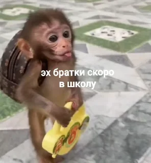🤩 emoji манки @TgEmodziBot Telegram sticker 3 of 104