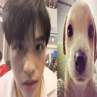 🥹 emoji лакорны - lakorn :: али Telegram sticker 6 of 57