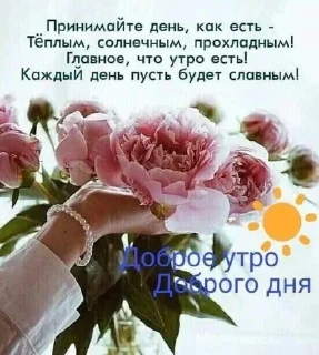 Sticker from мы