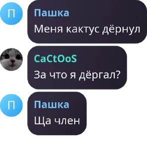 ⛷️ emoji котятки 🧋💗 pack by @QuotLyBot Telegram sticker 10 of 120