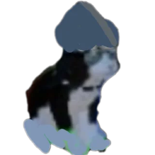 😺 emoji (C.S.A.L) Коты, еда и т.д. Telegram sticker 5 of 41