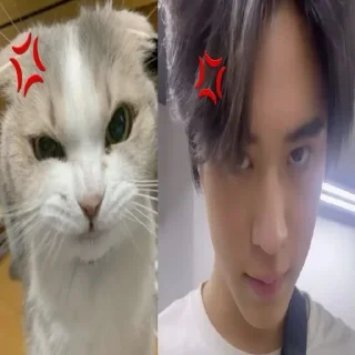 😠 emoji лакорны - lakorn :: али Telegram sticker 20 of 57