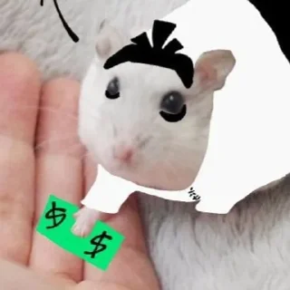 Sticker from мемные К7 и ЧиБДБ pt. 5 @ImMariaMafia