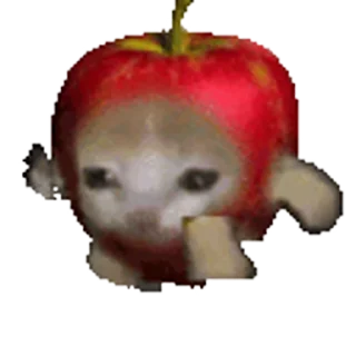 🐈 emoji Стикеры: @sticktalkru Telegram sticker 9 of 50