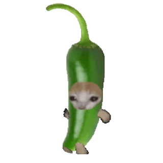 🐈 emoji Стикеры: @sticktalkru Telegram sticker 21 of 50