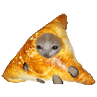 🐈 emoji Стикеры: @sticktalkru Telegram sticker 18 of 50
