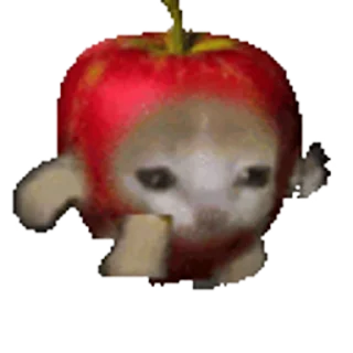 🐈 emoji Стикеры: @sticktalkru Telegram sticker 10 of 50