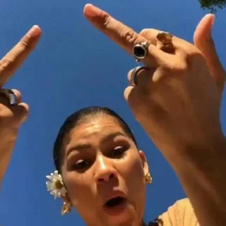 🖕 emoji Zendaya is a goddess Telegram sticker 20 of 34