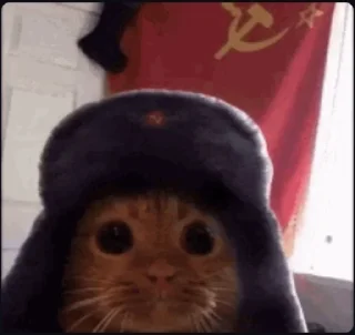 🤩 emoji Ну ты просто нулевый чел @TgEmodziBot Telegram sticker 9 of 26