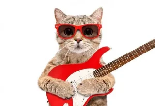 Sticker from котіки