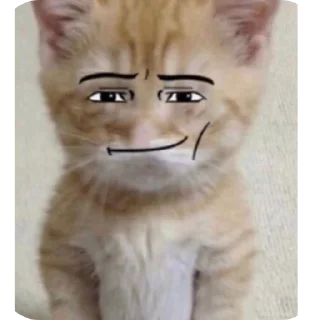 🐱 emoji Пуйпер Telegram sticker 11 of 50