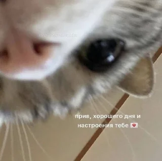 💛 emoji лубофь Telegram sticker 7 of 77