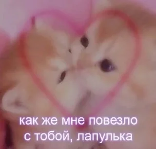 Sticker from .
