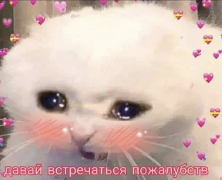 ❤️‍🩹 emoji лубофь Telegram sticker 9 of 77